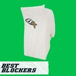 BEST goalie blockers