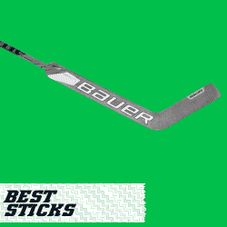 BEST goalie sticks
