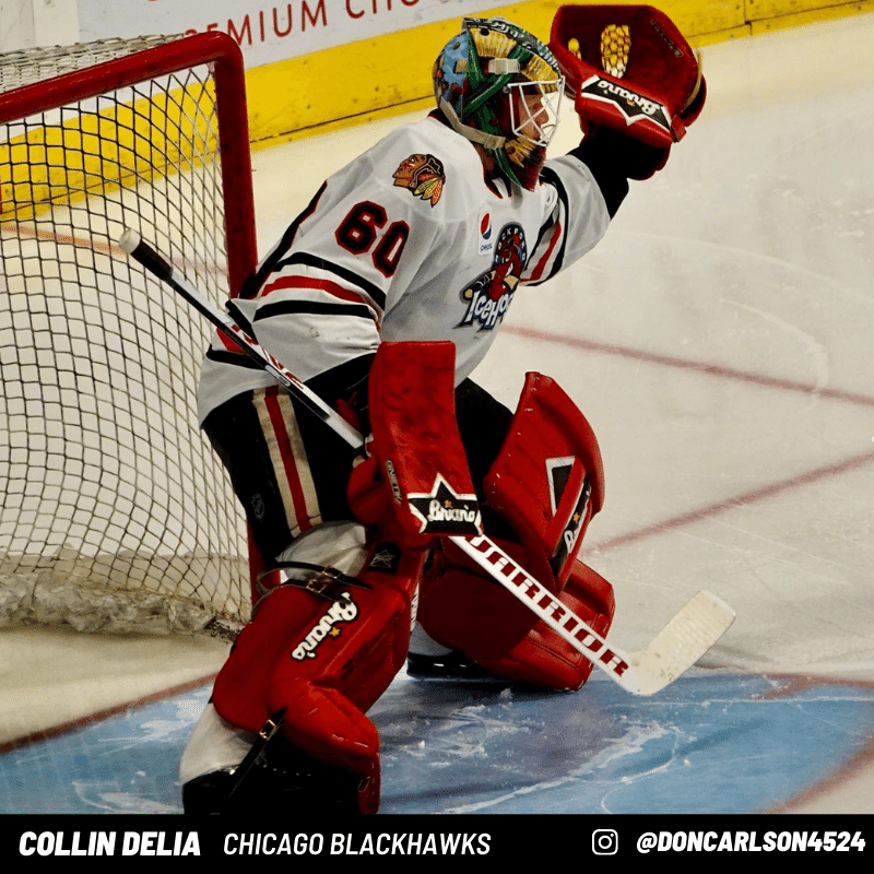 Collin Delia Chicago Blackhawks Goalie Pads